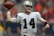 Nov 17, 2013; Houston, TX, USA; Oakland Raiders quarterback Matt McGloin (14) throws a pass against the Houston Texans at Reliant Stadium. The Raiders defeated the Texans 28-23. Mandatory Credit: Kirby Lee-USA TODAY Sports