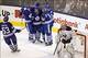 Feb 21, 2013; Toronto, Ontario, CAN; Toronto Maple Leafs defenseman Michael Kostka (53) and defenseman Carl Gunnarsson (36) and center Tyler Bozak (42) and right wing Phil Kessel (81) celebrate a goal by forward James van Riemsdyk (21) on Buffalo Sabres g