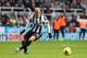 NEWCASTLE, UNITED KINGDOM - NOVEMBER 23: Yoan Gouffran of Newcastle United during the Barclays Premier League match between Newcastle United and Norwich City at St James' Park on November 23, 2013 in Newcastle upon Tyne, England (Photo by Ian T Horrocks/