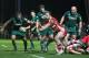GLOUCESTER, ENGLAND - NOVEMBER 29: Matt Kvesic of Gloucester passes the ball during the Aviva Premiership match between Gloucester and Leicester Tigers at Kingsholm Stadium on November 29, 2013 in Gloucester, England. (Photo by David Rogers/Getty Images