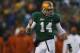 WACO, TX - DECEMBER 07: Bryce Petty #14 of the Baylor Bears celebrates a touchdown against the Texas Longhorns at Floyd Casey Stadium on December 7, 2013 in Waco, Texas. (Photo by Ronald Martinez/Getty Images)