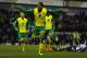 WEST BROMWICH, ENGLAND - DECEMBER 07: Norwich player Leroy Fer celebrates after scoring the second goal during the Barclays Premier League match between West Bromwich Albion and Norwich City at The Hawthorns on December 7, 2013 in West Bromwich, England.