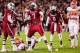 Nov 30, 2013; Columbia, SC, USA; South Carolina Gamecocks defensive end Jadeveon Clowney (7) celebrates a tackle for loss against the Clemson Tigers in the second quarter at Williams-Brice Stadium. Mandatory Credit: Jeff Blake-USA TODAY Sports
