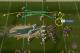 The quick screen is a frequently used weapon in Tom Brady's arsenal; courtesy of NFL GameRewind.