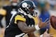 PITTSBURGH, PA - DECEMBER 08: Le'Veon Bell #26 of the Pittsburgh Steelers drops a pass in the fourth quarter against the Miami Dolphins at Heinz Field on December 8, 2013 in Pittsburgh, Pennsylvania. Miami won the game 34-28. (Photo by Gregory Shamus/Get