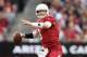 GLENDALE, AZ - DECEMBER 08: Quarterback Carson Palmer #3 of the Arizona Cardinals drops back to pass during the NFL game against the St. Louis Rams at the University of Phoenix Stadium on December 8, 2013 in Glendale, Arizona. The Cardinals defeated the