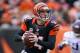 CINCINNATI, OH - DECEMBER 22: Andy Dalton #14 of the Cincinnati Bengals runs with the ball during the NFL game against the Minnesota Vikings at Paul Brown Stadium on December 22, 2013 in Cincinnati, Ohio. (Photo by Andy Lyons/Getty Images)