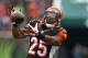 CINCINNATI, OH - DECEMBER 08: Giovani Bernard #25 of the Cincinnati Bengals catches a pass during the NFL game against the Indianapolis Colts at Paul Brown Stadium on December 8, 2013 in Cincinnati, Ohio. (Photo by Andy Lyons/Getty Images)