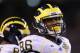 Jehu Chesson, a RS FR in 2013, is among UM's "experienced" WRs.