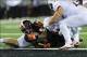 Oct 26, 2013; Corvallis, OR, USA; Oregon State Beavers wide receiver Brandin Cooks (7) scores a touchdown against the Stanford Cardinal during the 2nd half at Reser Stadium. Stanford defeated Oregon State 20-12. Mandatory Credit: Steven Bisig-USA TODAY Sp