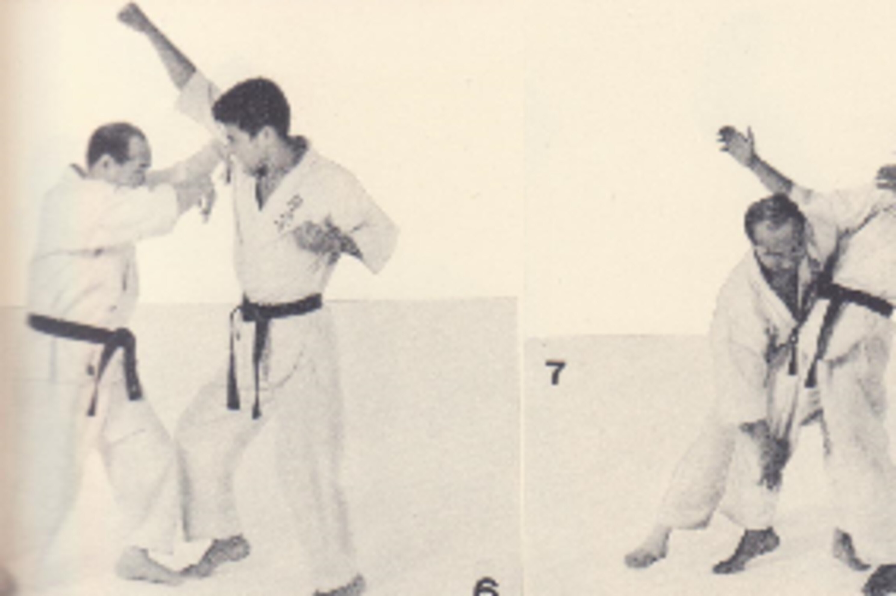 lyoto machida old school karate