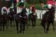 CHELTENHAM, ENGLAND - MARCH 15: AP McCoy rides Alderwood (far right) to victory in the Johnny Henderson Grand Annual Chase Challenge Cup on Cheltenham Gold Cup day at Cheltenham Racecourse on March 15, 2013 in Cheltenham, England. (Photo by Andrew Redin