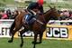 Bobs Worth