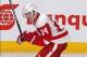 Gustav Nyquist leads the Detroit Red Wings with 19 goals.