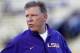 LSU offensive coordinator Cam Cameron