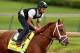 LOUISVILLE, KY - APRIL 25: Danza is riden by Ezekiel Perez during the morning exercise session in preparation for the 140th Kentucky Derby at Churchill Downs on April 25, 2014 in Louisville, Kentucky. (Photo by Matthew Stockman/Getty Images)
