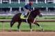 LOUISVILLE, KY - MAY 01: Wicked Strong runs on the track during the morning training for the Kentucky Derby at Churchill Downs on May 1, 2014 in Louisville, Kentucky. (Photo by Andy Lyons/Getty Images)