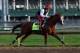 LOUISVILLE, KY - MAY 01: California Chrome runs on the track during the morning training for the Kentucky Derby at Churchill Downs on May 1, 2014 in Louisville, Kentucky. (Photo by Andy Lyons/Getty Images)
