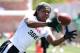 Devonaire Clarington