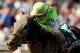 ARCADIA, CA - NOVEMBER 02: Javier Castellano rides Ria Antonia to win the Juvenile Fillies during the 2013 Breeders' Cup World Championships at Santa Anita Park on November 2, 2013 in Arcadia, California. (Photo by Matthew Stockman/Getty Images)
