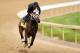 LOUISVILLE, KY - APRIL 29: General A Rod is ridden by Joel Barrientos during the morning exercise session in preparation for the140th Kentucky Derby at Churchill Downs on April 29, 2014 in Louisville, Kentucky. (Photo by Matthew Stockman/Getty Images)