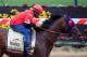 BALTIMORE, MD - MAY 14: Exercise rider Domingo Navarro takes Social Inclusion over the track in preparation for the 139th Preakness Stakes at Pimlico Race Course on May 14, 2014 in Baltimore, Maryland. (Photo by Rob Carr/Getty Images)