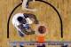 Apr 5, 2014; Arlington, TX, USA; Florida Gators center Patric Young (bottom) dunks as Connecticut Huskies guard/forward Niels Giffey (5) looks on in the second half during the semifinals of the Final Four in the 2014 NCAA Mens Division I Championship tour