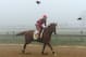California Chrome