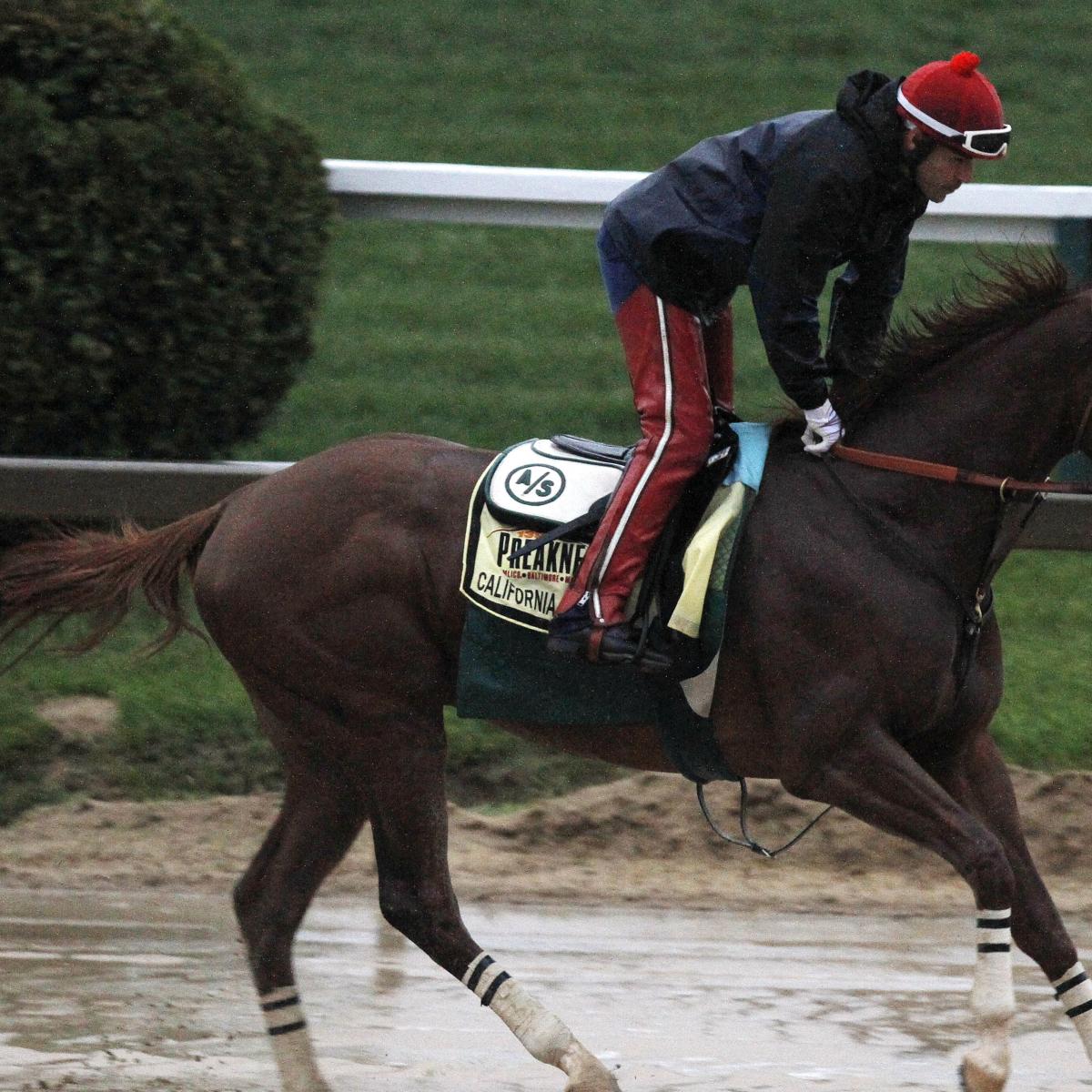 California Chrome's Triple Crown Run Could Lift Sport to New Heights