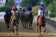 BALTIMORE, MD - MAY 17: California Chrome #3, ridden by Victor Espinoza, crosses the finishline to win the 139th running of the Preakness Stakes at Pimlico Race Course on May 17, 2014 in Baltimore, Maryland. (Photo by Rob Carr/Getty Images)