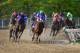 BALTIMORE, MD - MAY 17: California Chrome #3, ridden by Victor Espinoza, leads the field during the 139th running of the Preakness Stakes at Pimlico Race Course on May 17, 2014 in Baltimore, Maryland. (Photo by Molly Riley/Getty Images)