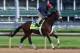 LOUISVILLE, KY - MAY 01: Wicked Strong runs on the track during the morning training for the Kentucky Derby at Churchill Downs on May 1, 2014 in Louisville, Kentucky. (Photo by Andy Lyons/Getty Images)