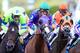 BALTIMORE, MD - MAY 17: California Chrome #3, ridden by Victor Espinoza, races with the field during the 139th running of the Preakness Stakes at Pimlico Race Course on May 17, 2014 in Baltimore, Maryland. (Photo by Rob Carr/Getty Images)