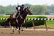 Jun 4, 2014; Elmont, NY, USA; Commanding Curve ridden by exercise rider Emerson Chavez on the track during workouts in preparation for the 2014 Belmont Stakes at Belmont Park. Mandatory Credit: Anthony Gruppuso-USA TODAY Sports