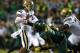 EUGENE, OR - OCTOBER 26: Tony Washington #91 of the Oregon Ducks strips the ball from Brett Hundley #17 of the UCLA Bruins on October 26, 2013 at the Autzen Stadium in Eugene, Oregon. (Photo by Jonathan Ferrey/Getty Images)