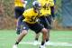 Inside linebacker Ryan Shazier is on the fast track to start in his rookie season.