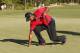 JERSEY CITY, NJ - AUGUST 25: Tiger Woods carefully bends down to remove his ball from the 15th hole after injuring his back during the fourth round of The Barclays held at Liberty National Golf Club on August 25, 2013 in Jersey City, New Jersey. (Photo