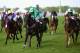 Louis The Pious sprung a major shock in the Buckingham Palace Stakes.