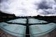 LONDON, ENGLAND - JUNE 28: A general view of the rain covers on the outside courts on day six of the Wimbledon Lawn Tennis Championships at the All England Lawn Tennis and Croquet Club at Wimbledon on June 28, 2014 in London, England. (Photo by Jan Krug