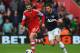 SOUTHAMPTON, ENGLAND - MAY 11: (L-R) Adam Lallana of Southampton holds off Michael Carrick of Manchester United during the Barclays Premier League match between Southampton and Manchester United at St Mary's Stadium on May 11, 2014 in Southampton, Englan