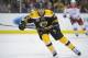 Mar 1, 2014; Boston, MA, USA; Boston Bruins right wing Jarome Iginla (12) skates during the first period against the Washington Capitals at TD Banknorth Garden. Mandatory Credit: Bob DeChiara-USA TODAY Sports