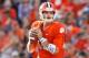 Tiger fans hope that the senior leadership of Stoudt will keep the offense rolling in 2014.