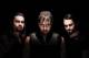 The Shield