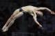 Matt Mitcham suffered through a difficult final, surprisingly finishing outside the medals.