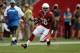 GLENDALE, AZ - SEPTEMBER 15: Running back Andre Ellington #38 of the Arizona Cardinals carries the ball against the Detroit Lions at University of Phoenix Stadium on September 15, 2013 in Glendale, Arizona. (Photo by Jeff Gross/Getty Images)