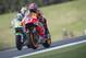 BRNO, CZECH REPUBLIC - AUGUST 15: Marc Marquez of Spain and Repsol Honda Team
heads down a straight during the MotoGp of Czech Republic - Free Practice at Brno Circuit on August 15, 2014 in Brno, Czech Republic. (Photo by Mirco Lazzari gp/Getty Images)