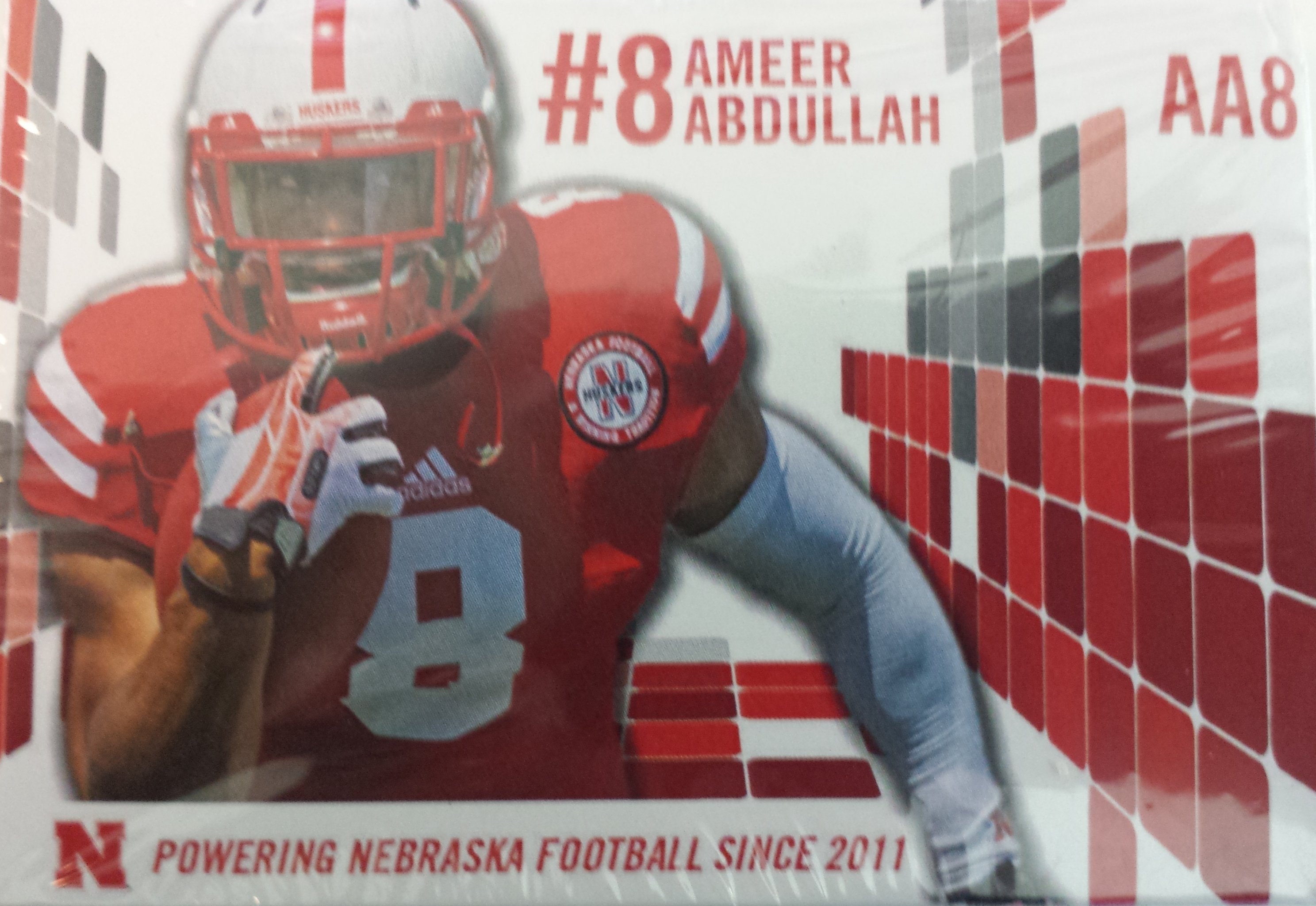 How Ameer Abdullah Went from Forgotten Alabama Recruit to Heisman Contender, News, Scores, Highlights, Stats, and Rumors