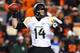 Bryce Petty threw for 4,200 yards and 32 touchdowns in leading Baylor to an 11-2 record and a berth in the Fiesta Bowl last season.
