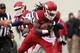 Arkansas RB Alex Collins