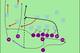 Figure 2: More Ravens boot passing